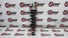 420512019aj Audi 08 09 10 11 12 13 14 15 R8 5.2l V10 Coupe Left Rear Strut Oem