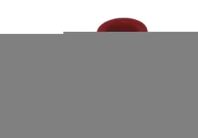 9.8108r Energy Suspension Shock Absorber Bushing