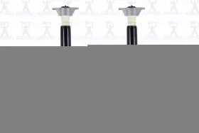 8346448 Fcs Auto Parts Rr Shock Absorber Automotive