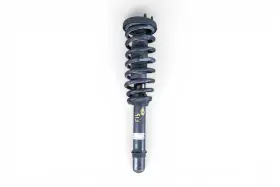 Honda 51601-sdp-a83 2005 Accord Front Shock Absorber Strut Right/passenger F01