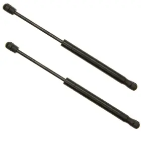 S80t-1498 Stetig 2pcs Front Hood Struts Lift Supports Compatible With Lexus 97-01 Es300 Black