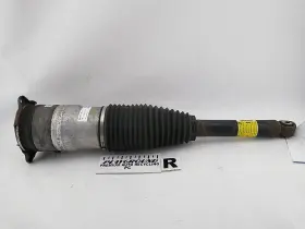 519.ts1s13 Tesla Model S Rear Passenger Right Air Spring Strut 2012 2013 2014 2015 12 13