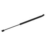 For Audi A6 Quattro 2006-2011 Tuff Support 612728 Liftgate. Fixed Price $16.40.