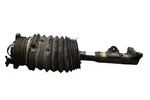12-18 Mercedes W212 CLS550 Front Left Side Airmatic Shock Absorber Strut Oem. Fixed Price $399.00.