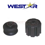 Westar Rear Suspension Strut Mount For 1999-2002 Infiniti G20 Shock Spring Mj. Fixed Price $25.20.