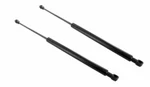 Tailgate Cylinder Bonnet X2 Mazda Gg GJ6A56930A GJ6E56930E. Fixed Price $58.87.