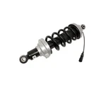Oem Bwi Audi R8 Coupe Rear Right Left Magride Strut 420512019AJ 420512020AJ. Fixed Price $1692.50.