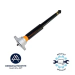 Porsche Panamera 971 Shock Absorber (complete) Strut (rear). Fixed Price $675.38.