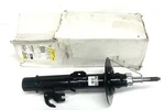 Gm Front Suspension Strut Assembly 92294077 Nos. Fixed Price $187.24.