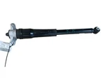 2024-2025 Hyundai Elantra Oem Rear Left Right Shock Absorber 55310-AA000 *9K*. Fixed Price $120.08.