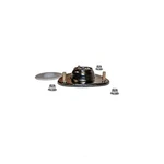 Frt Strut Mount Gabriel 143305. Fixed Price $45.45.