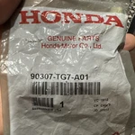 Genuine Honda 2009-2024 Nut Flange (10MM) 90307-TG7-A01. Fixed Price $10.00.