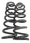 2017 - 2020 Jaguar Xe Diesel Rwd Rear Springs Pair. Fixed Price $80.80.