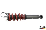 Porsche 991 911 GT3 Rear Left Right Pasm Shock Absorber Strut 2014 - 2019 Oem. Fixed Price $724.99.