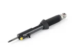 Mercedes-benz Sl R129 Rear Hydropneumatic Strut A1293201513. Fixed Price $1544.47.