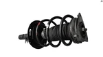 Oem Nissan Altima Fwd 2.5L 2019-25 Front Driver Side Shock Strut Spring Absorber. Fixed Price $160.54.