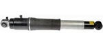Dorman 949-036 Air Suspension Shock Fits Cadillac Chevrolet Gmc Models. Fixed Price $200.73.